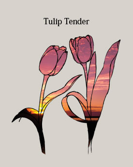 Tulip Tender